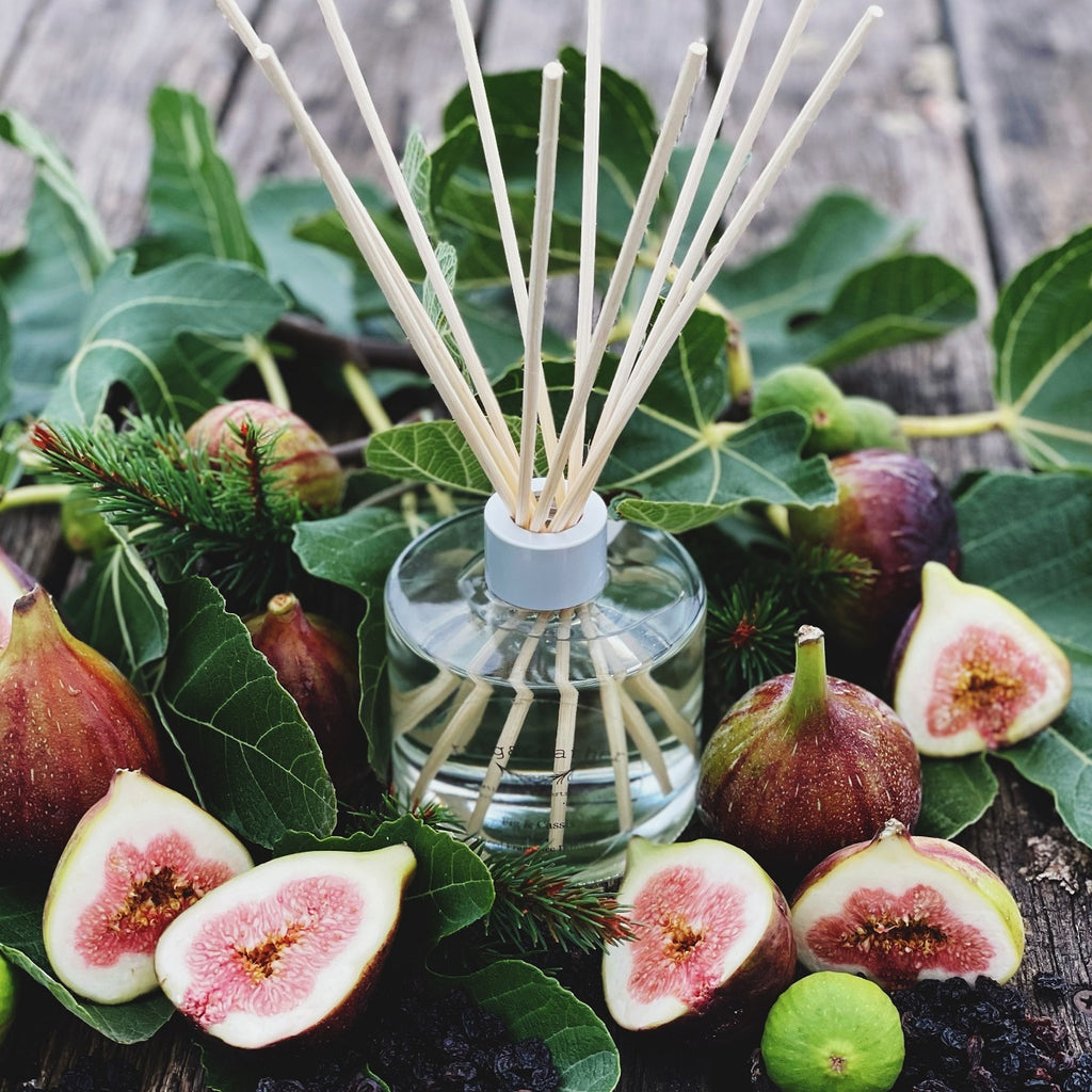 Twig and Feather Fragrance Diffuser Fig and Cassis