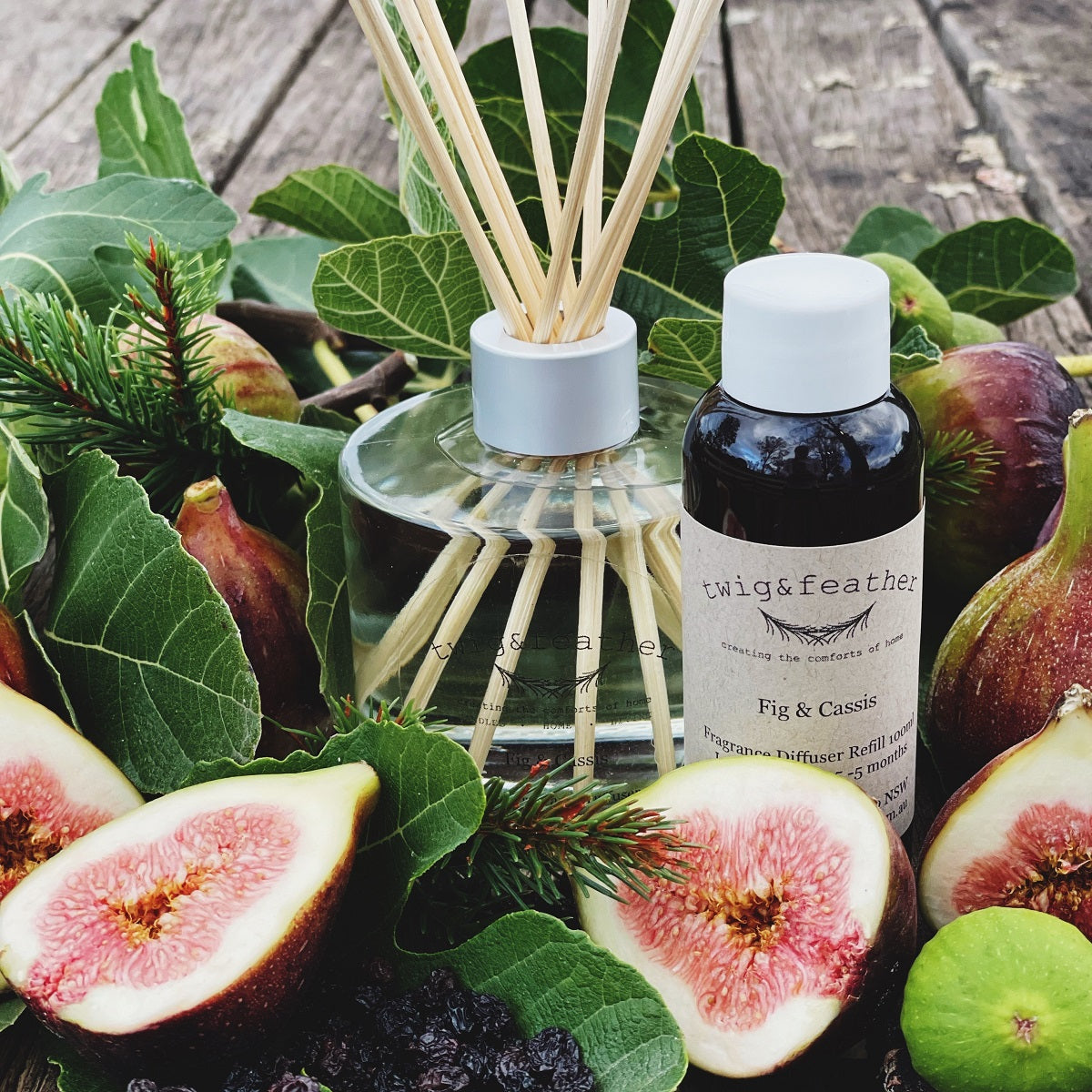 Fig Cassis Fragrance Diffuser Refill 100ml Twig Feather Twig fig-cassis-fragrance-diffuser-refill-100ml-twig-feather-twig
