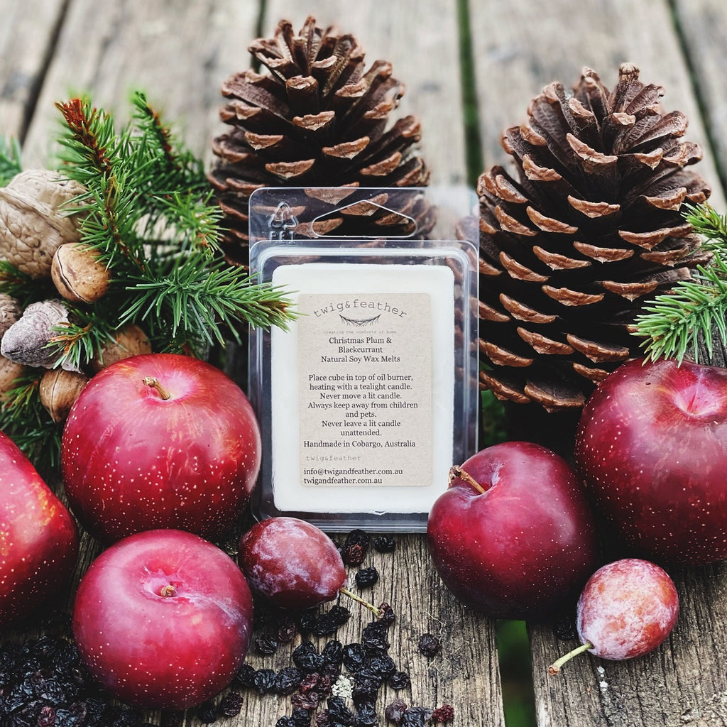 Twig and Feather Christmas Plum and Blackcurrant soy wax melts