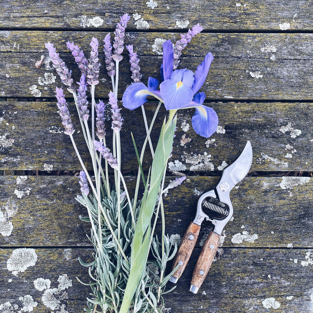 Twig-and-Feather-ash-wood-secateurs