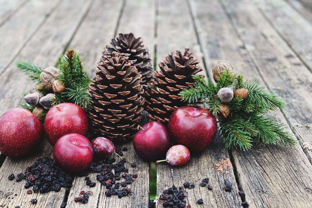 Twig and Feather Christmas Plum and Blackcurrant Fragrance collection