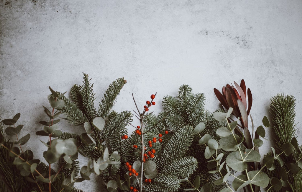 Twig and Feather Australian Christmas Bush Fragrance Collection
