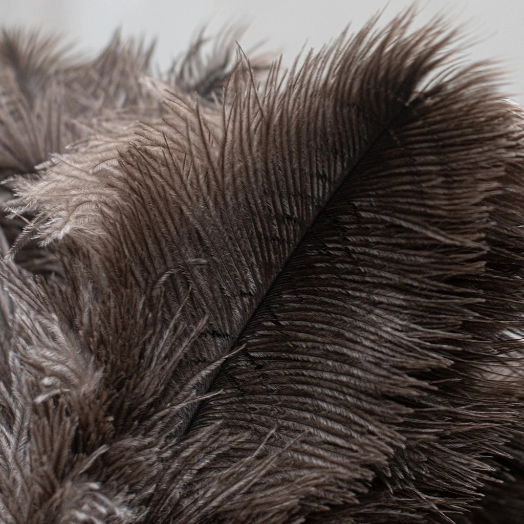 Twig and Feather: Ostrich feather duster in dark feather - for easy dusting and cleaning