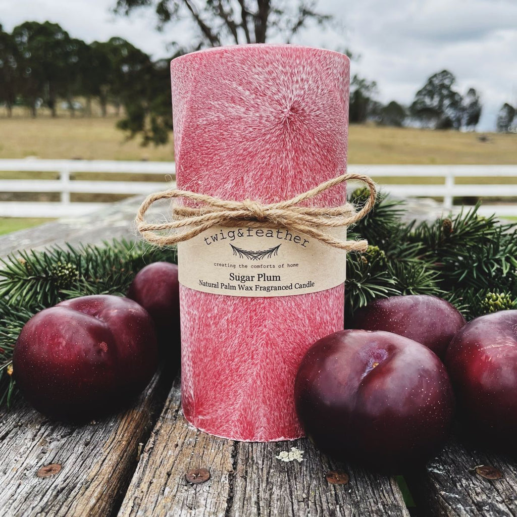 Twig and Feather Sugar Plum scented palm wax candle in 80hours surrounded by plums and cedar