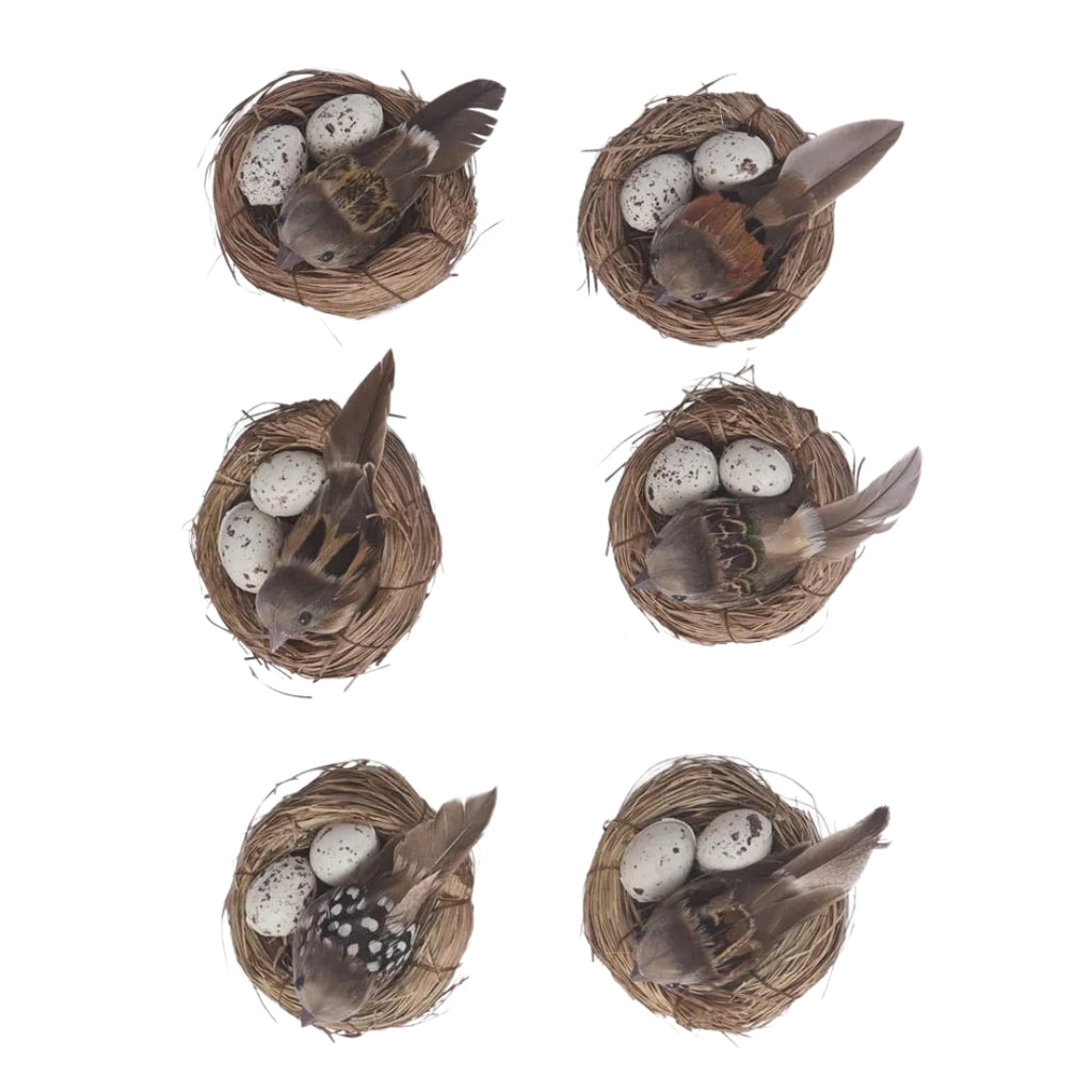 Set of 6 decorative nests with natural looking birds and eggs on a white background