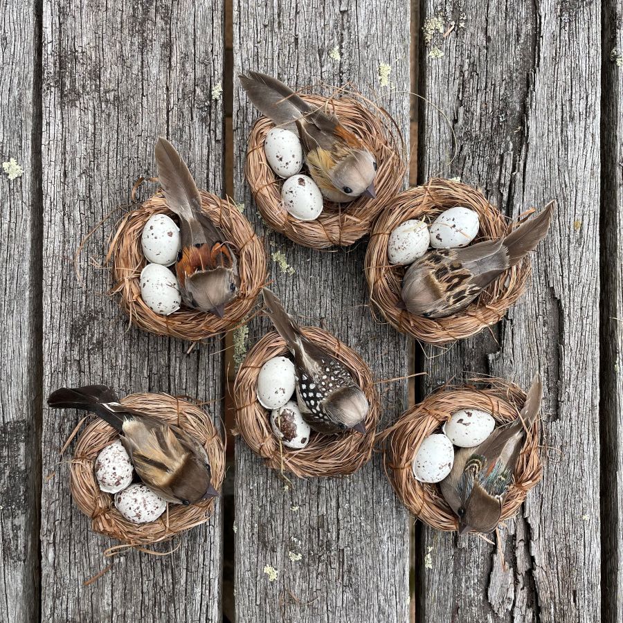 Set of 6 decorative nests with natural looking birds and eggs on a wooden surface