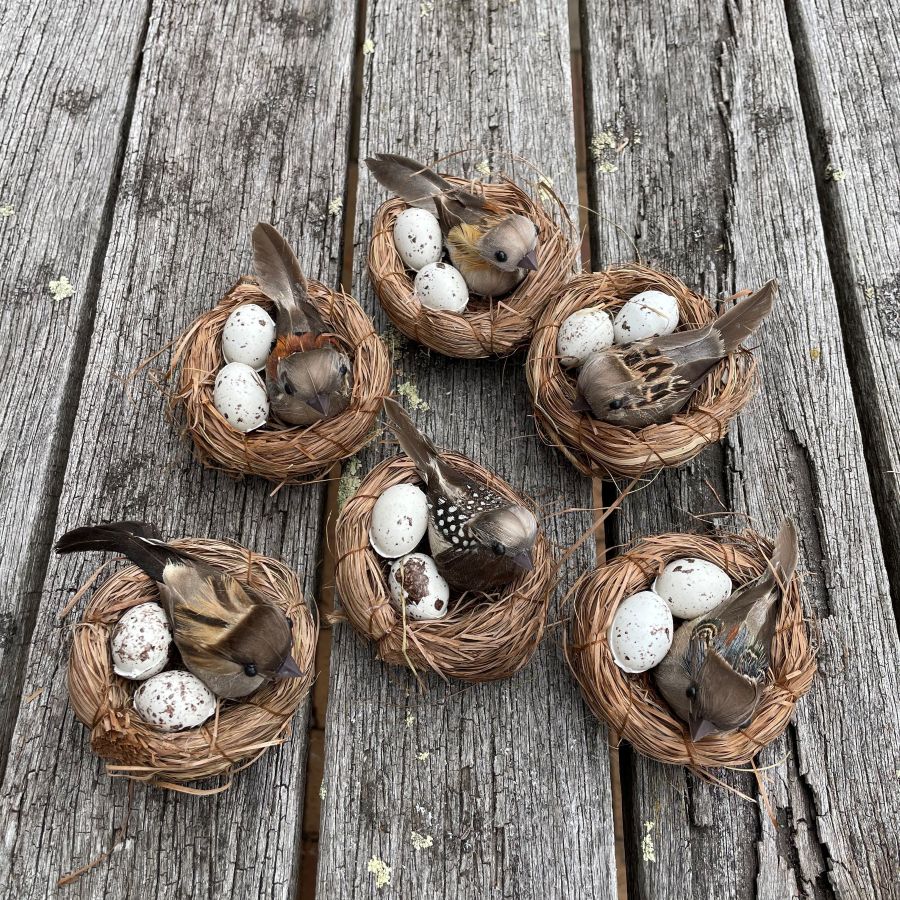 Set of 6 decorative nests with natural looking birds and eggs on a wooden surface