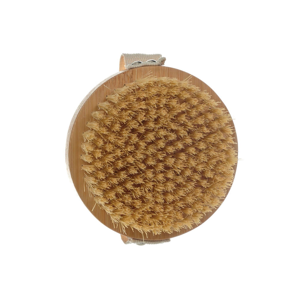 Dry Body Brush with Cactus Bristles Twig and Feather