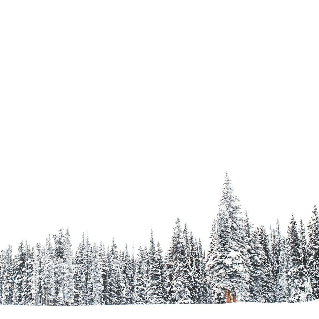 White Christmas - Palm Wax Candle 80hr