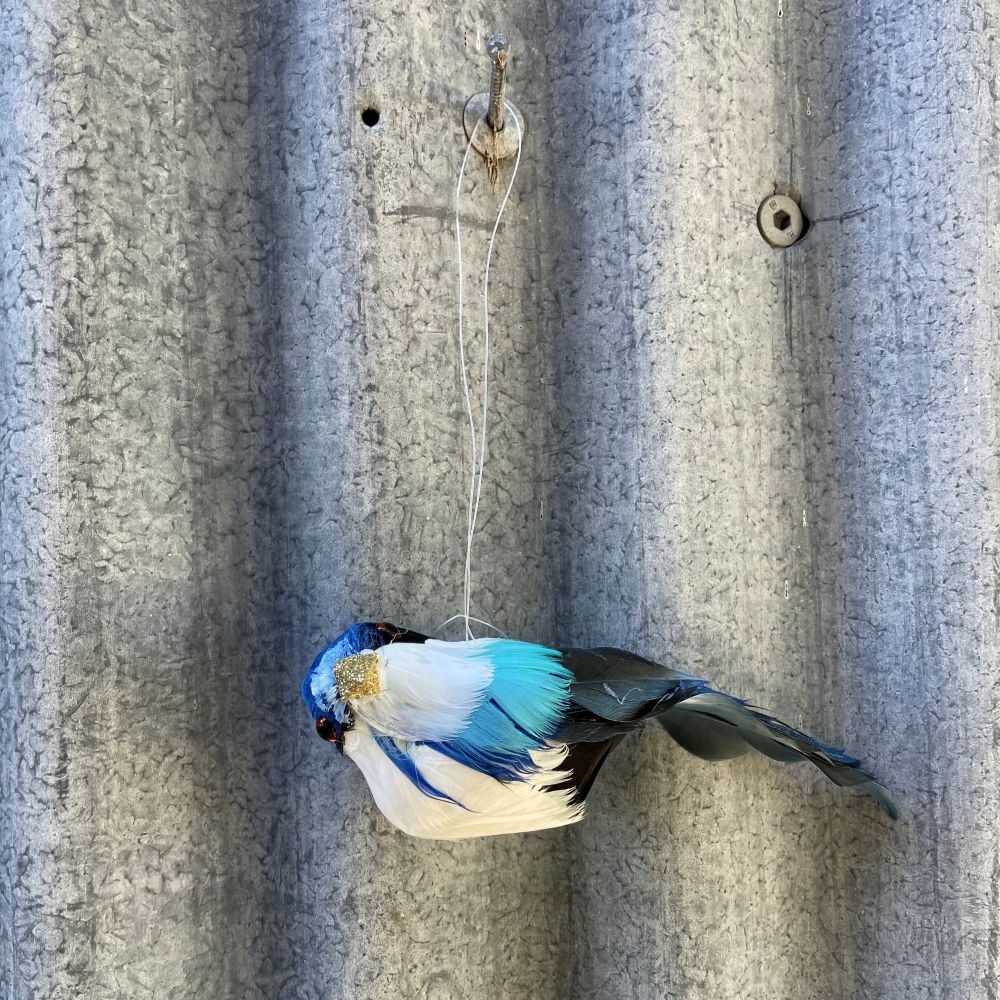 Decorative blue kingfisher bird ornament on a corrugated iron wall