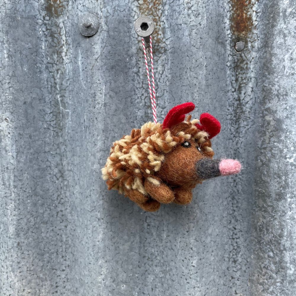 Felt Australian echidna ornament with red helmet hanging on a metal surface