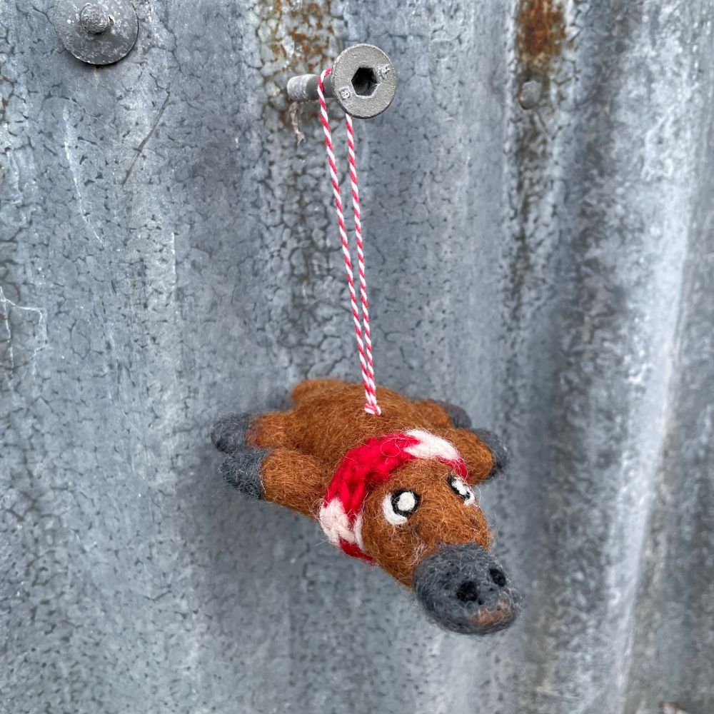 Felted Australian platypus ornament hanging from a nail on a textured metal surface - detailed view