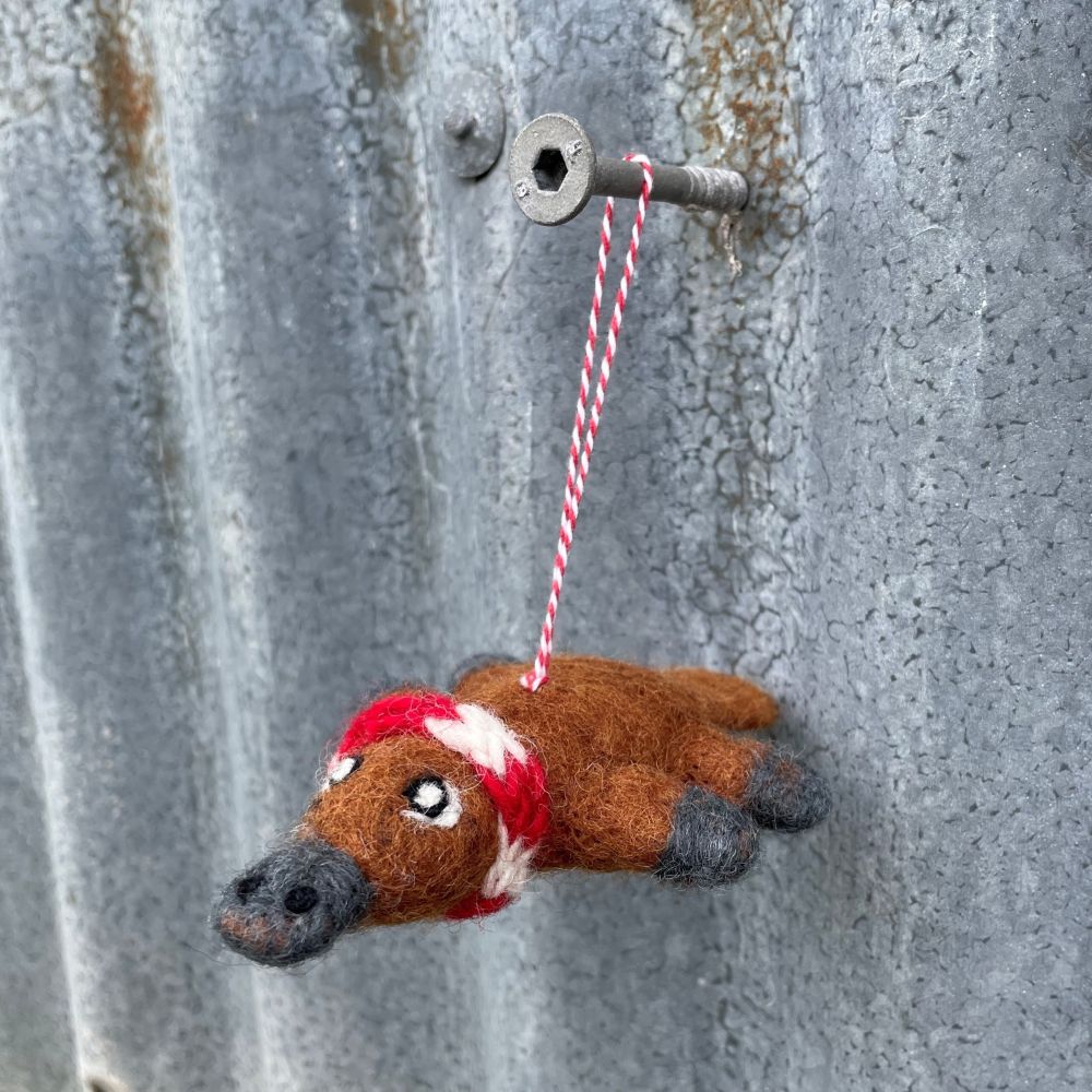 Felted Australian platypus ornament hanging from a nail on a textured metal surface - detailed view