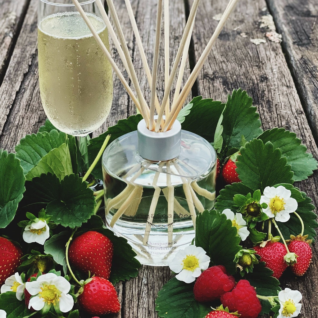 Twig and Feather Reed Fragrance Diffuser scented with Champagne and Strawberries