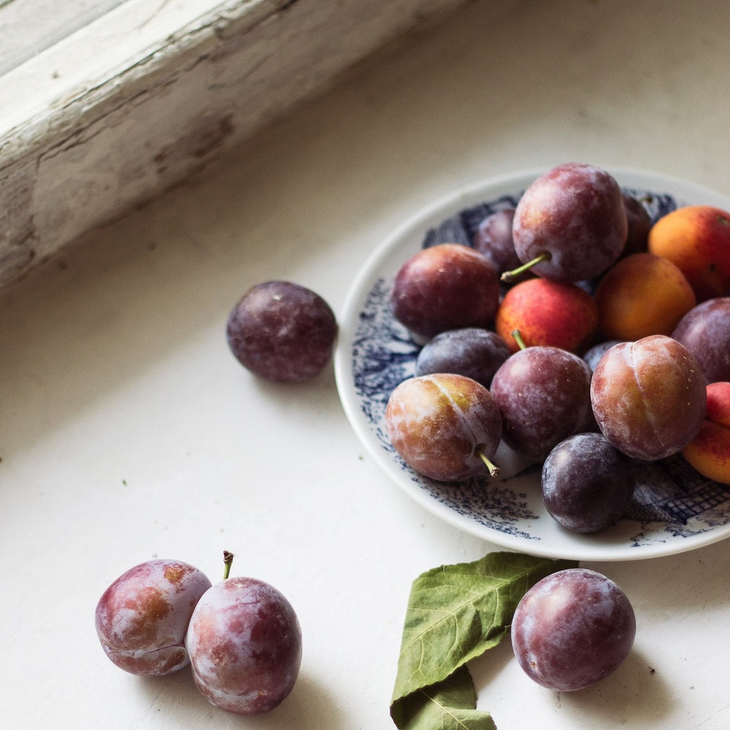 Twig and Feather Christmas plum and black currant