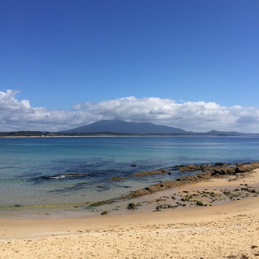 Twig-and-feather-clear-water-fragrance-bermagui