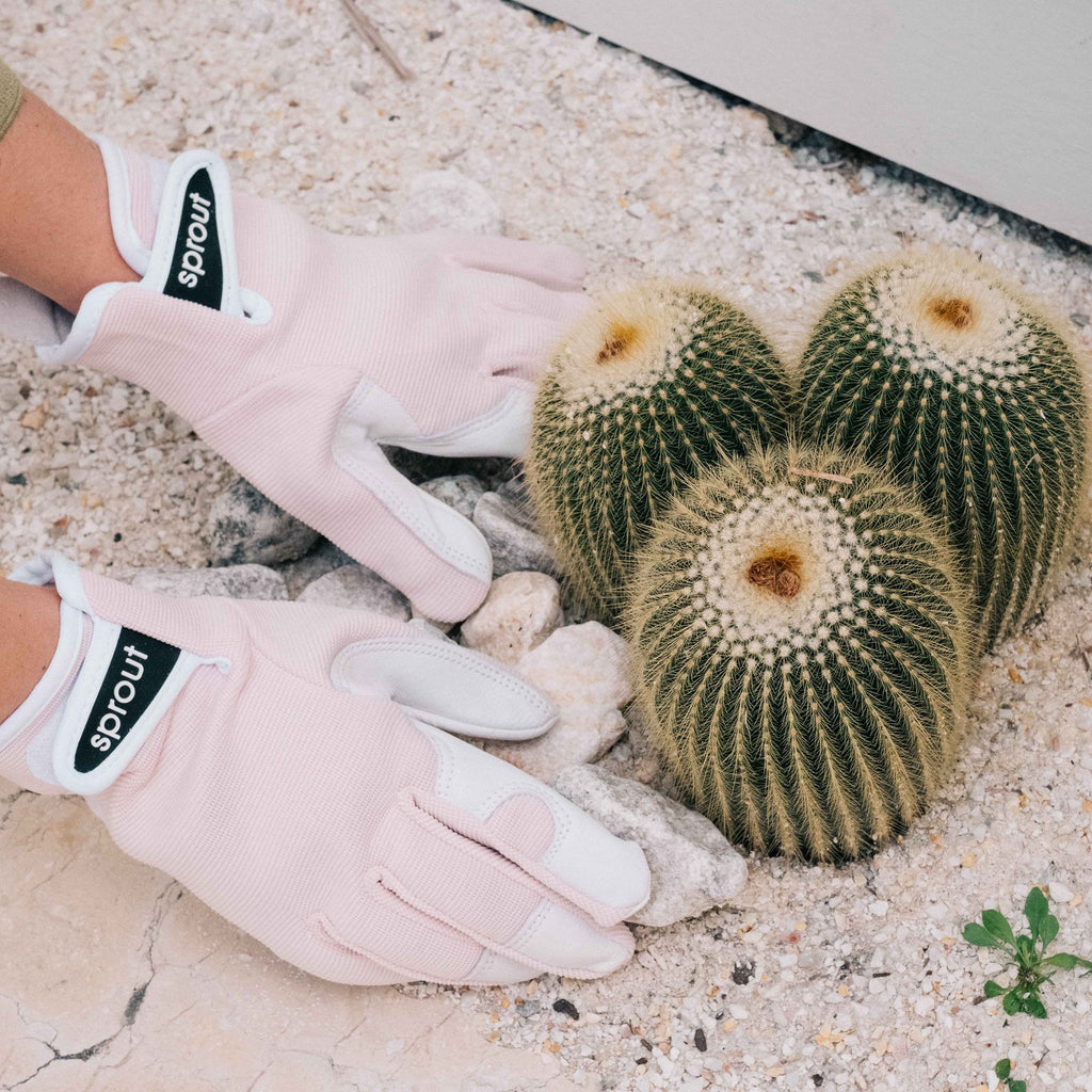 sprout gardening gloves Gardening Gloves Goats Leather Small - Pink - Twig and Feather